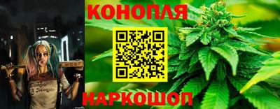 спиды Будённовск