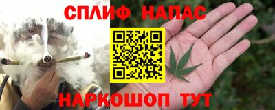 спиды Будённовск