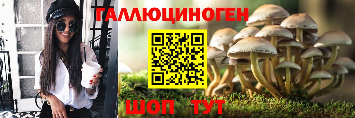 Фурманов  Галлюциногенные грибы Magic Shrooms  Вход с VPN  Псилоцибиновые грибы GOLDEN TEACHER 
